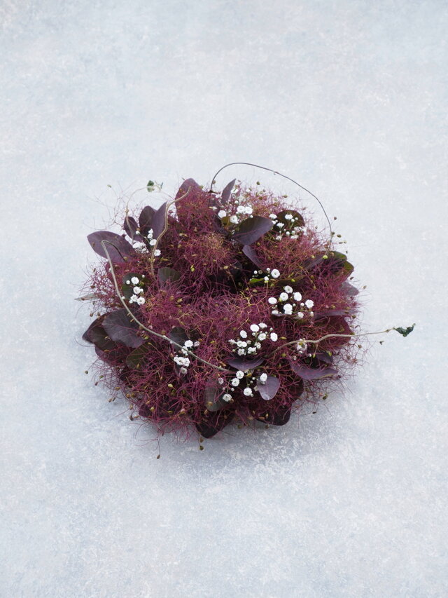 スモークツリーのミニリース18cm-赤