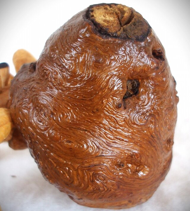 ☆ヤドカリの木彫り置物☆ | iichi 日々の暮らしを心地よくする