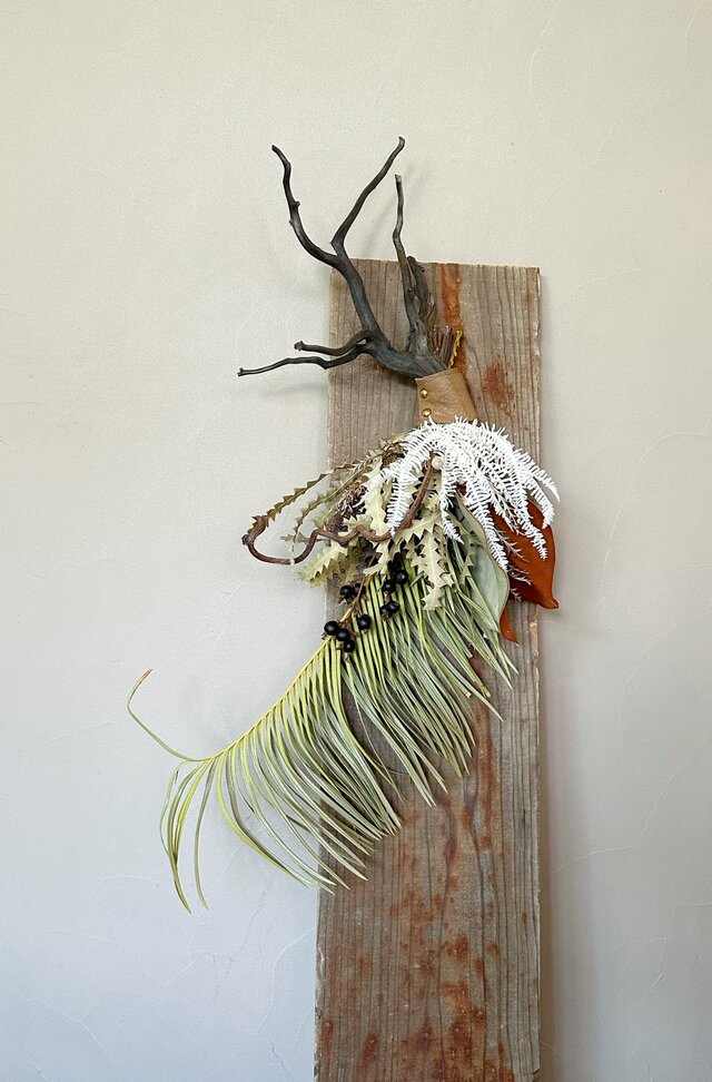 Botanical Swag ― 流木と弧