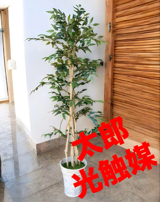 光触媒　人工観葉植物　ウォールグリーン　フェイクグリーン　イタリアンベンジャミン17075