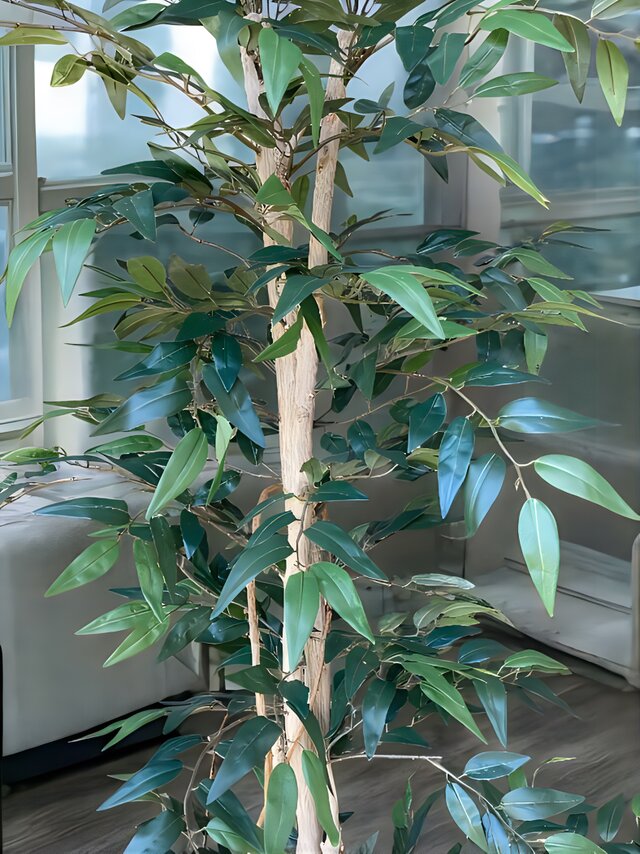 光触媒 人工観葉植物 ウォールグリーン フェイクグリーン シーグレープ