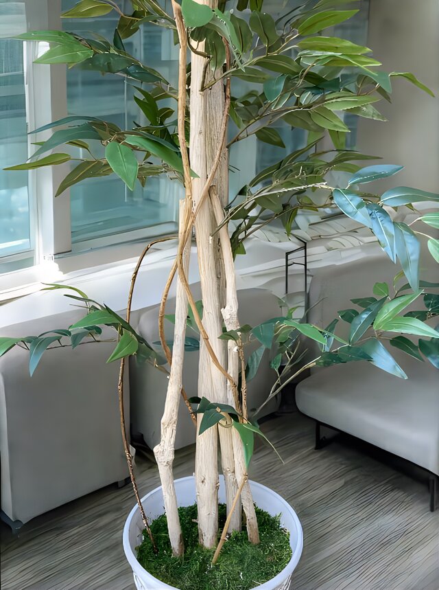 光触媒 人工観葉植物 ウォールグリーン フェイクグリーン シーグレープ