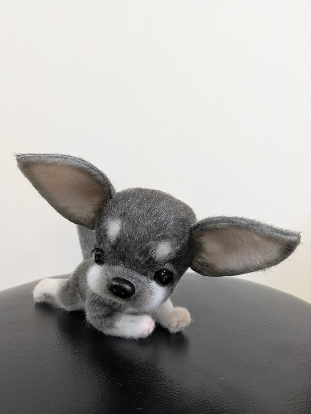 ふわふわぬいぐるみ☆チワワ☆ブラック☆ | iichi 日々の暮らしを