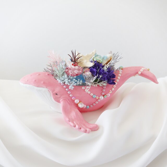 Dreaming Whale ★ pink  クマノミのお家 anemonefish's home