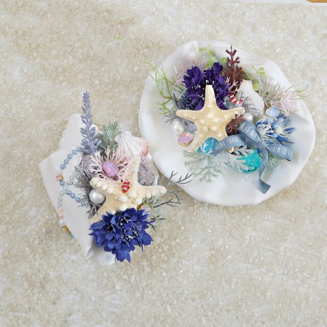 クマノミのお家 anemonefish's home ☆ シャコ貝 | iichi 日々の暮らし