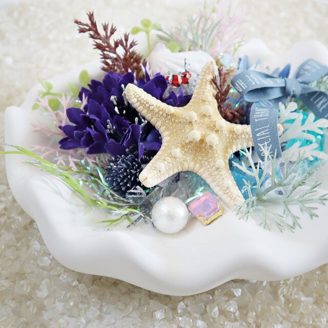 クマノミのお家 anemonefish's home ☆ シャコ貝 | iichi 日々の暮らし