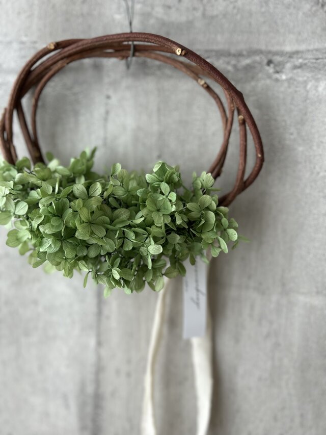 W25010 ナチュラルグリーンのツルリース