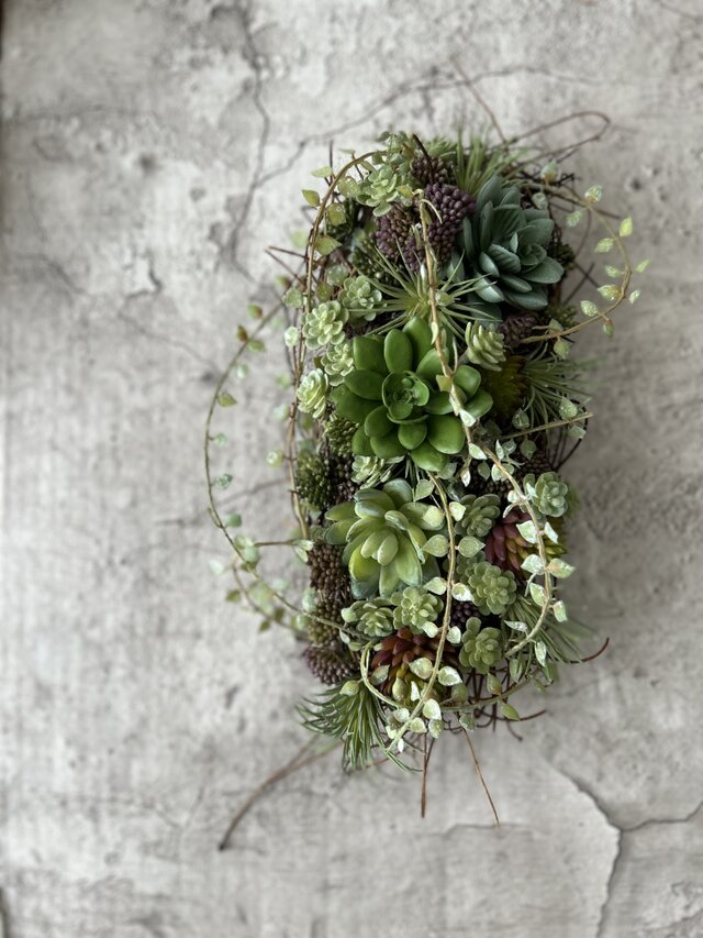 W25016  個性を飾る多肉植物のリース