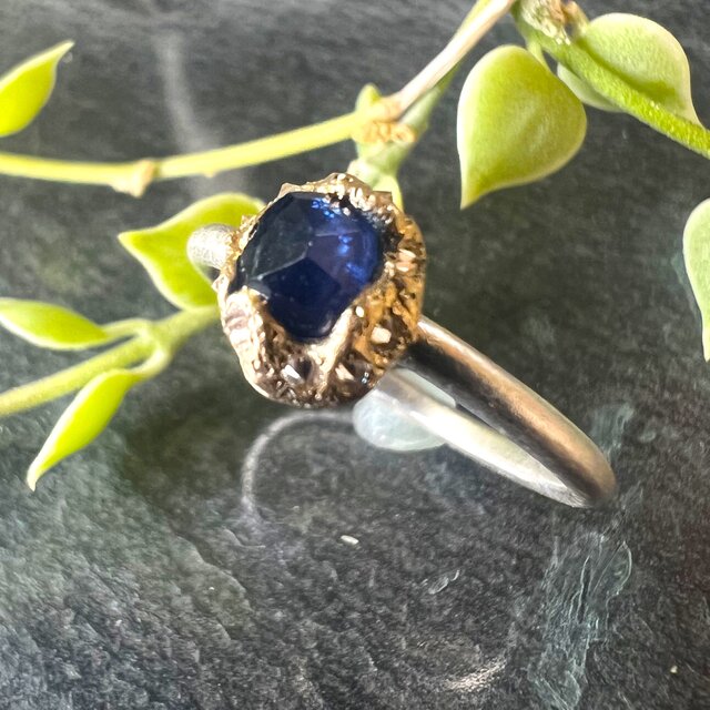 RETORNO RR-04　ｻﾌｧｲﾔ