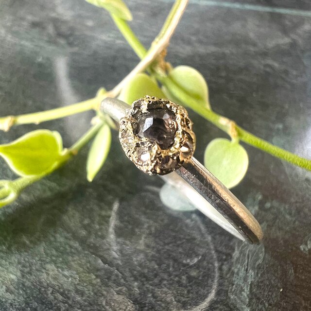 RETORNO RR-06　ﾌﾞﾗｳﾆｯｼｭﾊﾟｰﾌﾟﾙﾀﾞｲﾔ