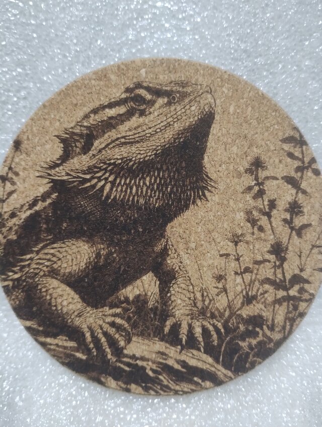 コースター　フトアゴヒゲトカゲ