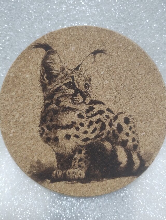 コースター　サーバルキャット