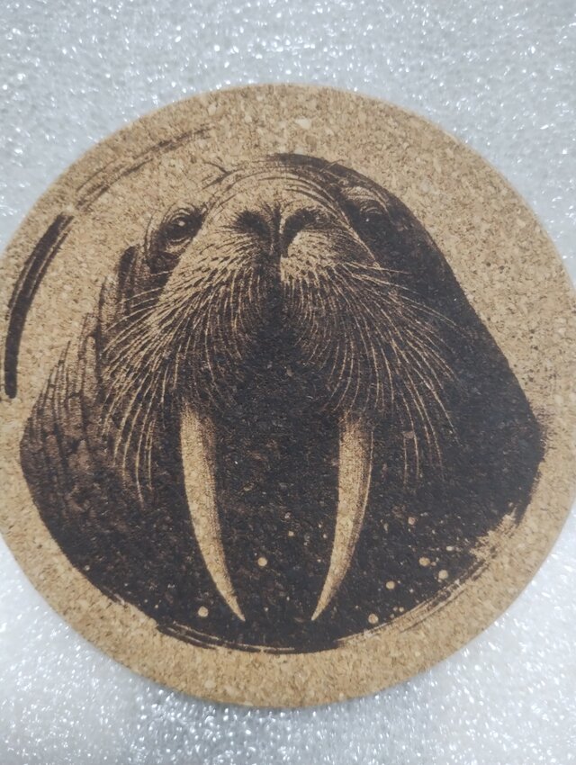 コースター　セイウチ