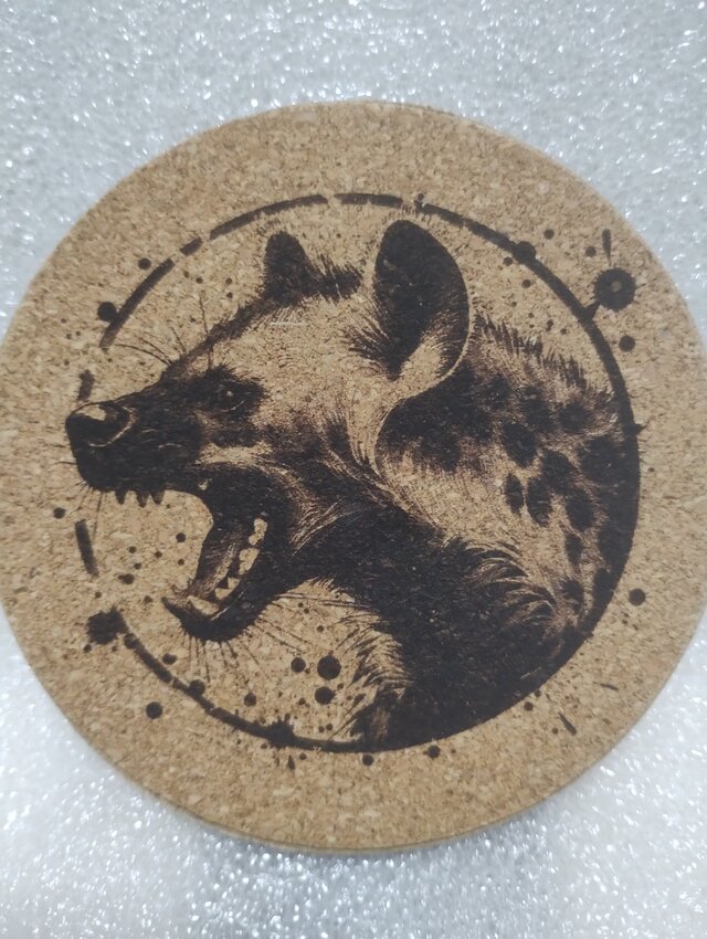 コースター　ハイエナ