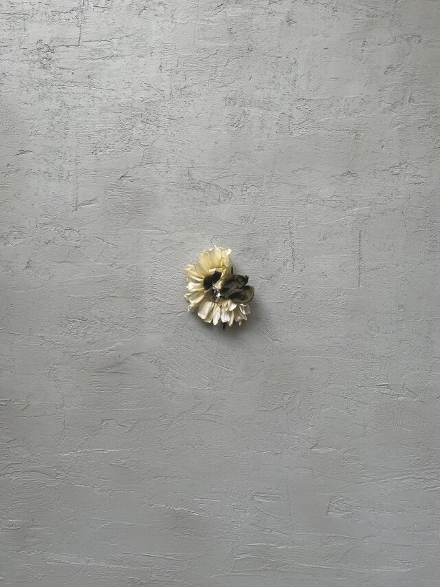 『淡い向日葵と葉』