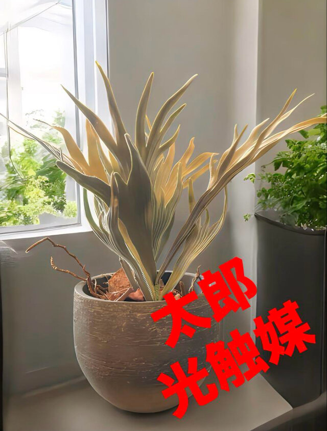 光触媒　人工観葉植物　ウォールグリーン　フェイクグリーン　コウモリラン花器付33
