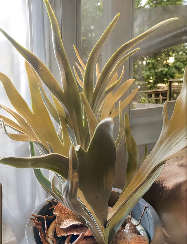 光触媒 人工観葉植物 ウォールグリーン フェイクグリーン 光触媒 人工観葉植物 ウォールグリーン フェイクグリーン