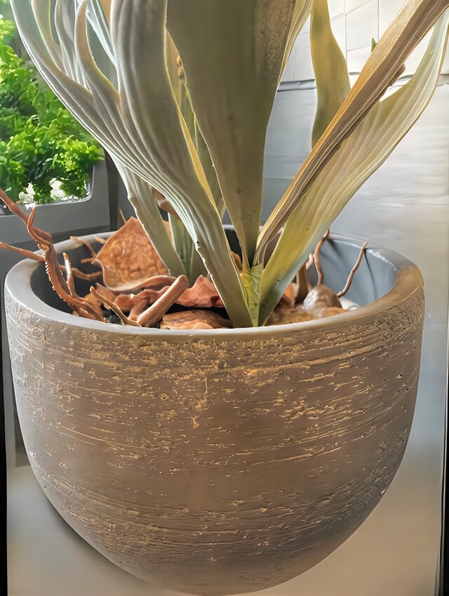光触媒　人工観葉植物　ウォールグリーン　フェイクグリーン　コウモリラン6060 光触媒 人工観葉植物 ウォールグリーン フェイクグリーン