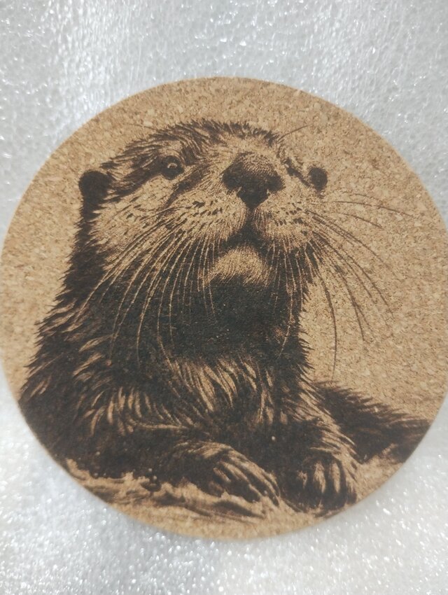 コースター　ラッコ