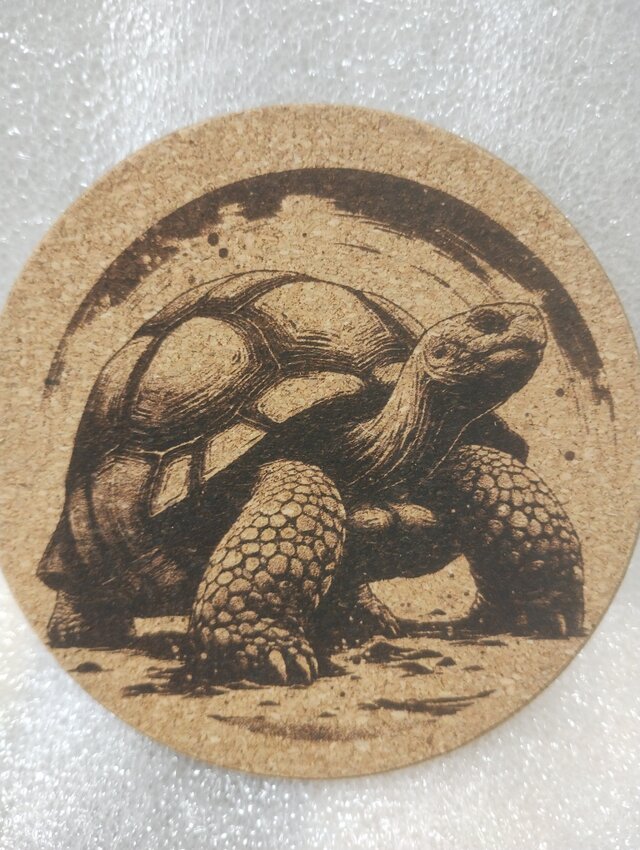 コースター　ゾウガメ