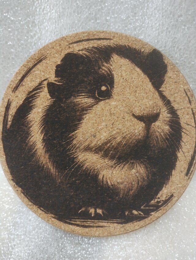 コースター　モルモット