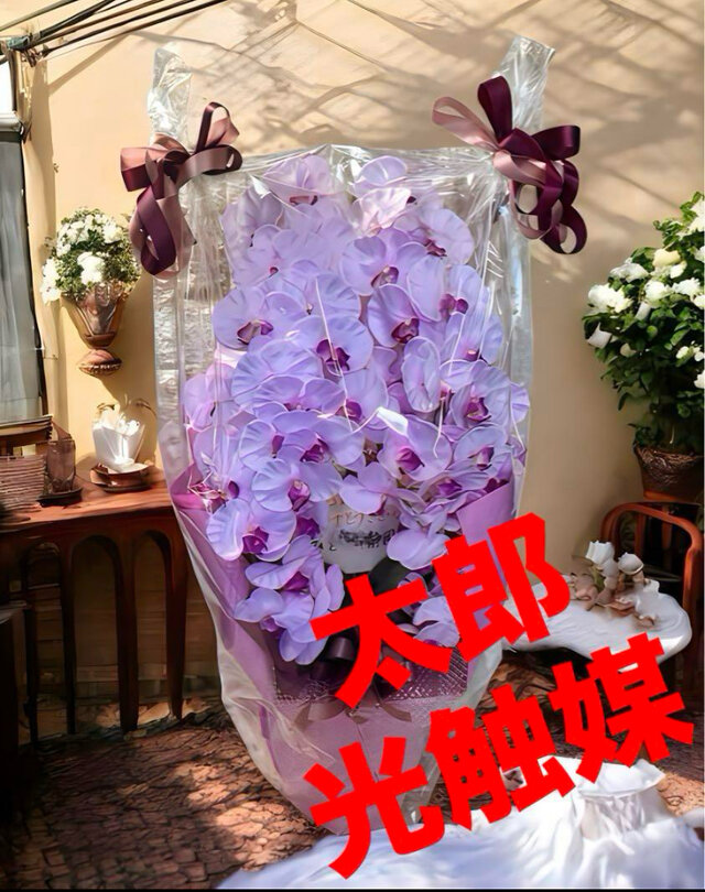 光触媒　人工観葉植物　ウォールグリーン　フェイクグリーン　胡蝶蘭8550