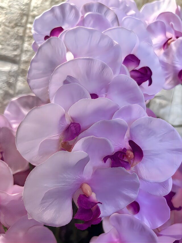 光触媒 人工観葉植物 ウォールグリーン フェイクグリーン 胡蝶蘭8550 