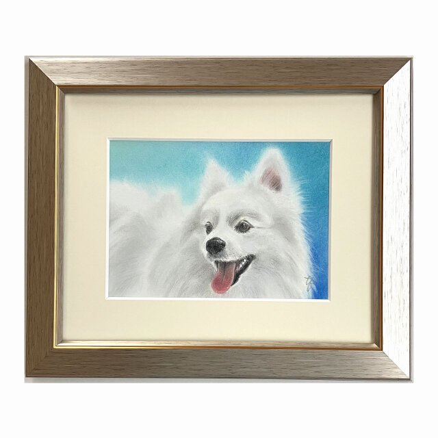 スピッツ（パステル画　原画）