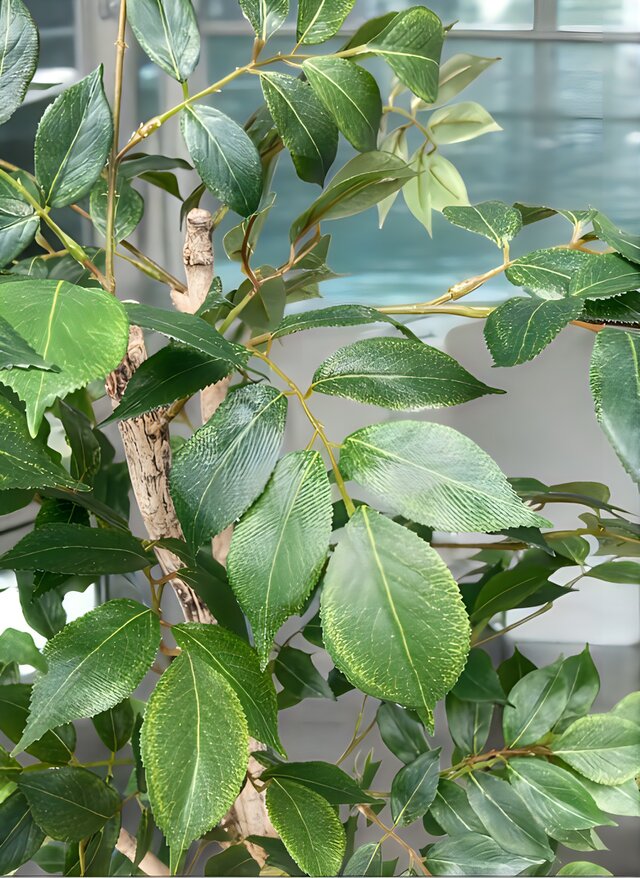 光触媒 人工観葉植物 ウォールグリーン フェイクグリーン