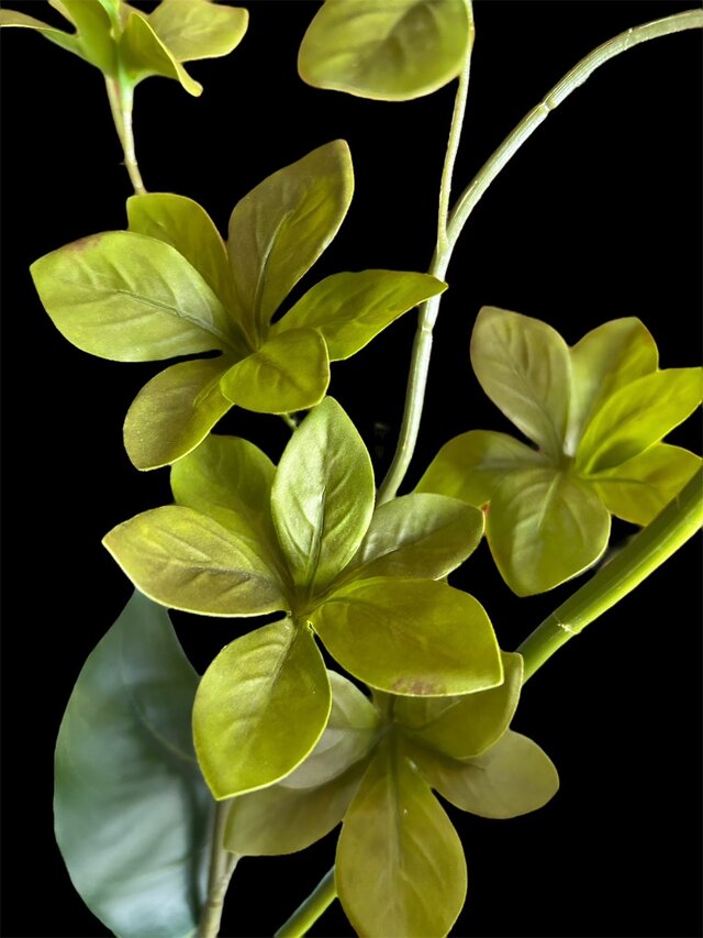 光触媒 人工観葉植物 ウォールグリーン フェイクグリーン ドウダンと