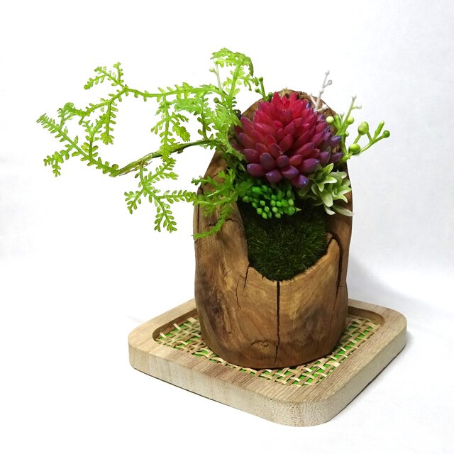 流木マイクロエケベリアアレンジ