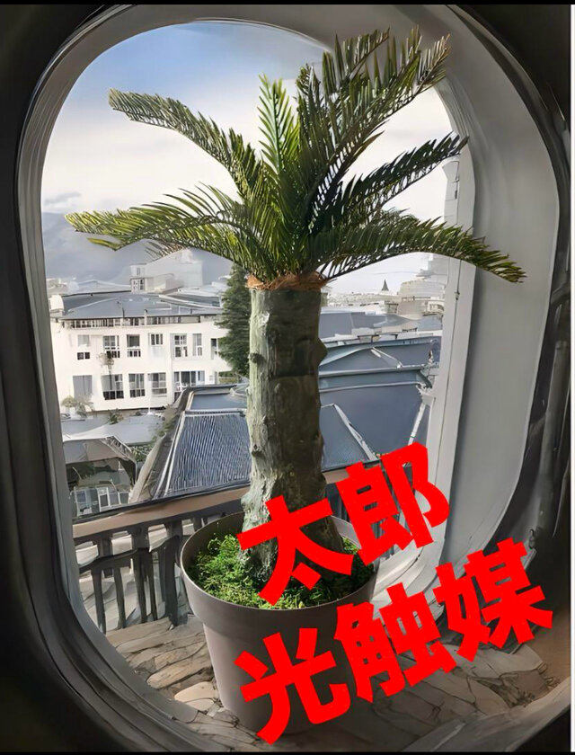 光触媒　人工観葉植物　ウォールグリーン　フェイクグリーン　フェニックス73 アレカヤシ　ココナッツヤシ