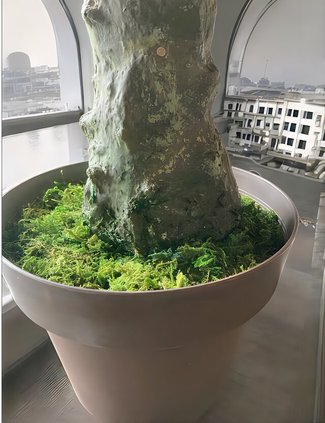 光触媒 人工観葉植物 ウォールグリーン フェイクグリーン フェニックス