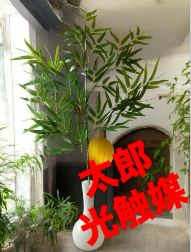 光触媒 人工観葉植物 ウォールグリーン フェイクグリーン ガジュマル