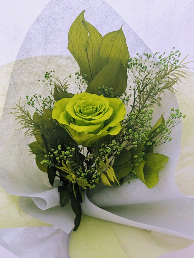 プリザーブドフラワー大輪の緑の薔薇とグリーンの緑づくしの花束（花束