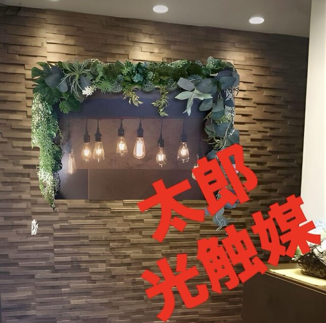 光触媒、人工観葉植物、ウォールグリーン　フェイクグリーン　壁掛け　絵画セット60 光触媒、人工観葉植物、ウォールグリーン フェイクグリーン