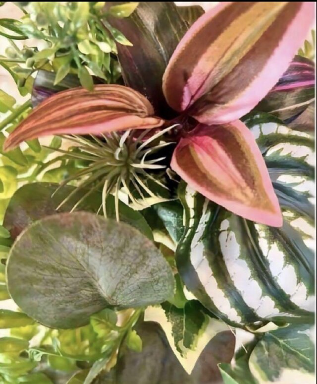 光触媒　人工観葉植物　ウォールグリーン　フェイクグリーン　ロイヤルピンク 光触媒 人工観葉植物 ウォールグリーン フェイクグリーン ロイヤル