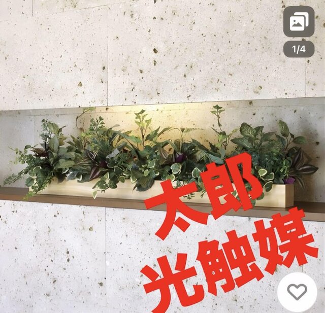 光触媒　人工観葉植物　ウォールグリーン　フェイクグリーン　ウッドボックスDX 光触媒 人工観葉植物 ウォールグリーン フェイクグリーン ウッド