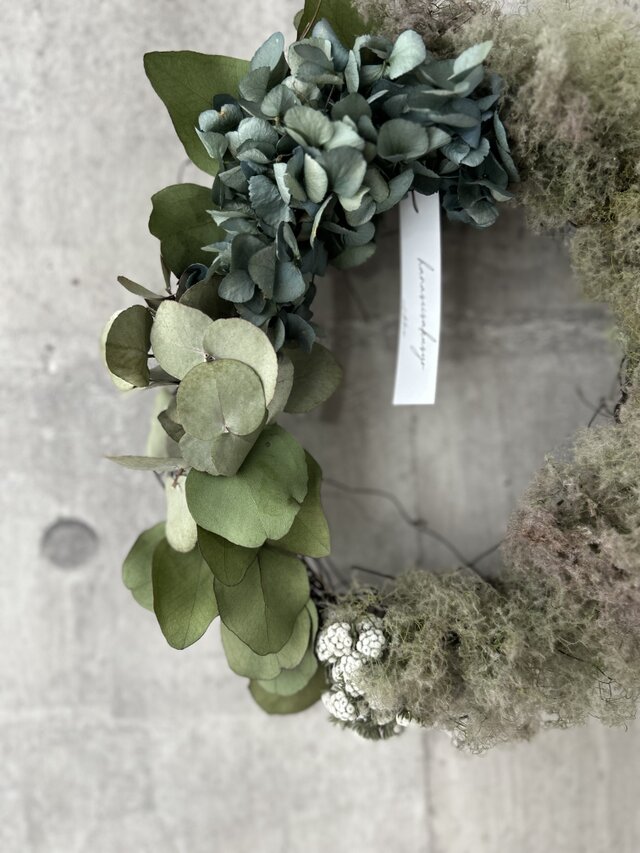 W25029 スモークツリーとユーカリ