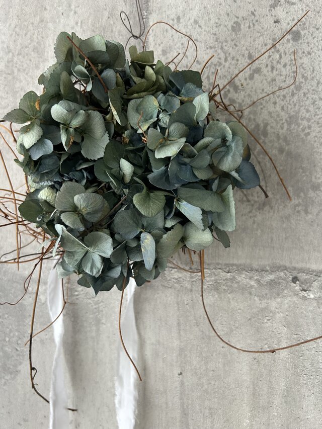 W25030  アジサイの無造作ドライリース