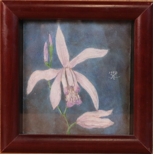 水彩「白花紫蘭」