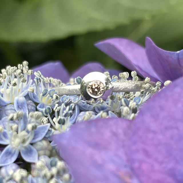 #20 K18YGブラウンダイヤモンド 空中セッティングリング 約0.43ct 5065650.jpg