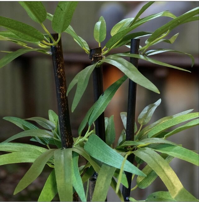 光触媒 人工観葉植物 ウォールグリーン フェイクグリーン 黒竹