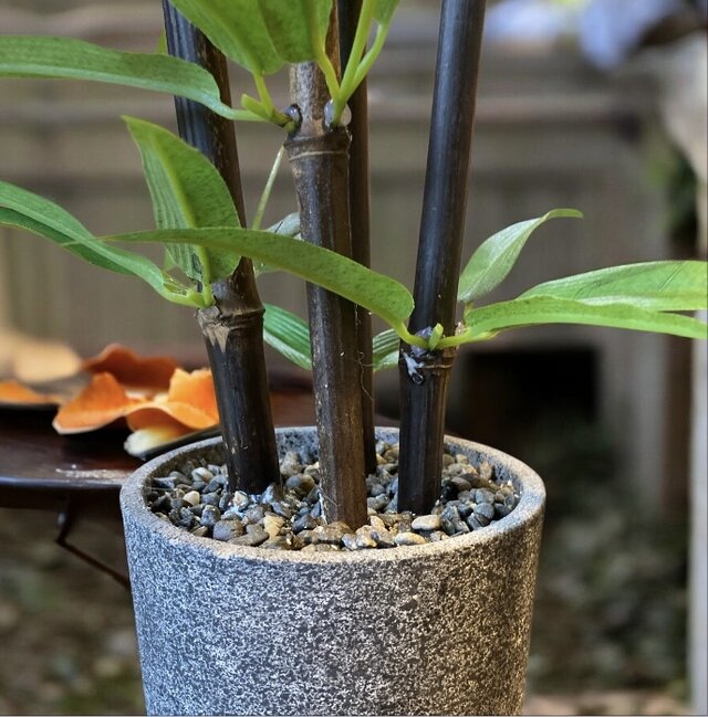 光触媒　人工観葉植物　ウォールグリーン　フェイクグリーン　黒竹@ad 光触媒 人工観葉植物 ウォールグリーン フェイクグリーン 黒竹