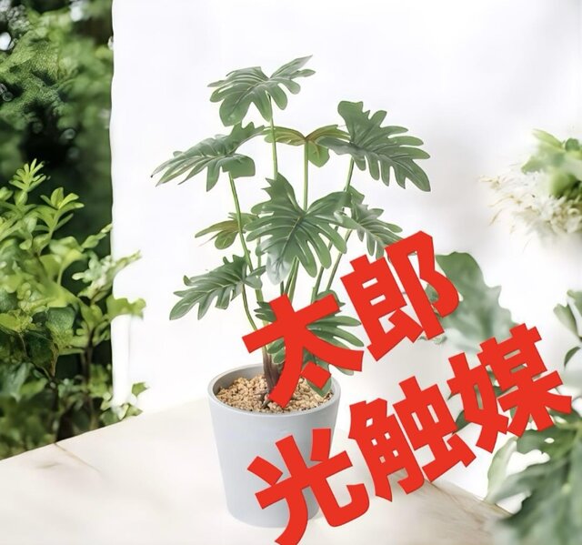 光触媒　人工観葉植物　ウォールグリーン　フェイクグリーン　アポロゴム 光触媒 人工観葉植物 ウォールグリーン フェイクグリーン