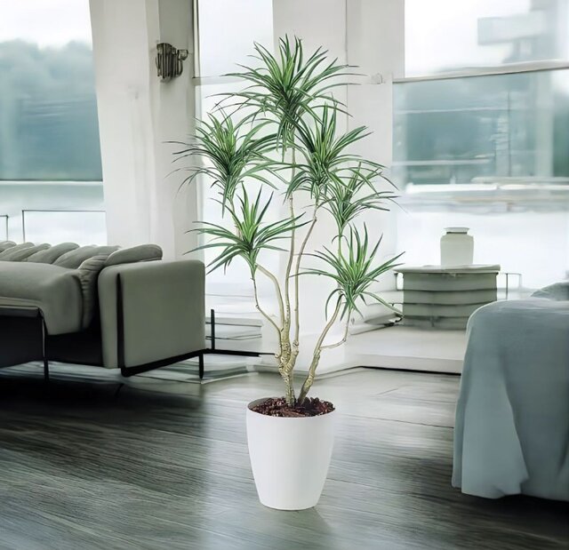 光触媒 人工観葉植物 ウォールグリーン フェイクグリーン コンシナ