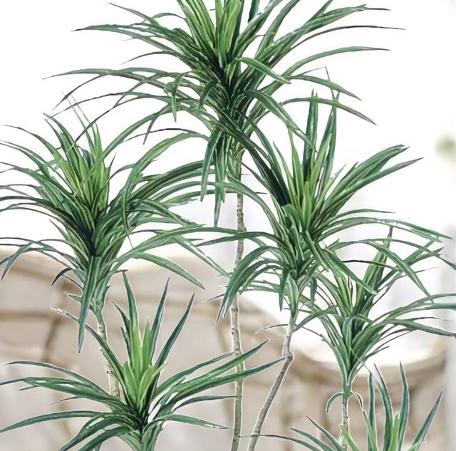 光触媒　人工観葉植物　ウォールグリーン　フェイクグリーン　コンシナトリコロル14 光触媒 人工観葉植物 ウォールグリーン フェイクグリーン コンシナ