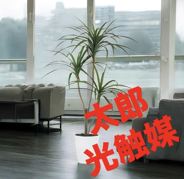 光触媒 人工観葉植物 ウォールグリーン フェイクグリーン 東北