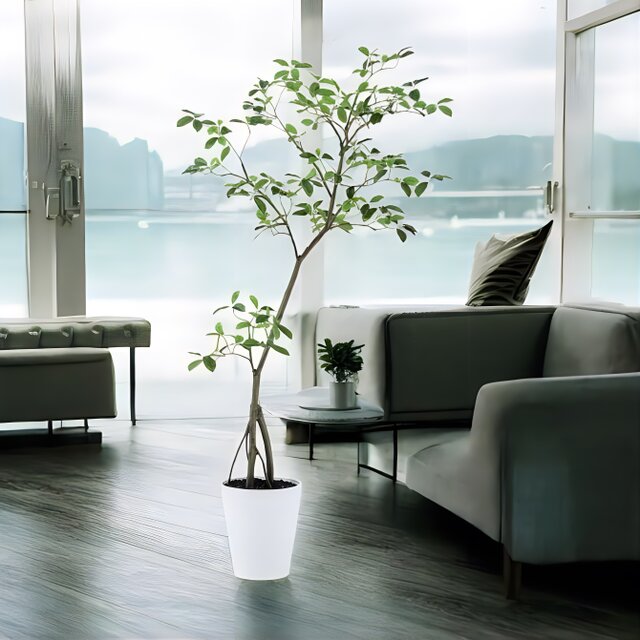 光触媒　人工観葉植物　ウォールグリーン　フェイクグリーン　ガジュマル180FST 光触媒 人工観葉植物 ウォールグリーン フェイクグリーン