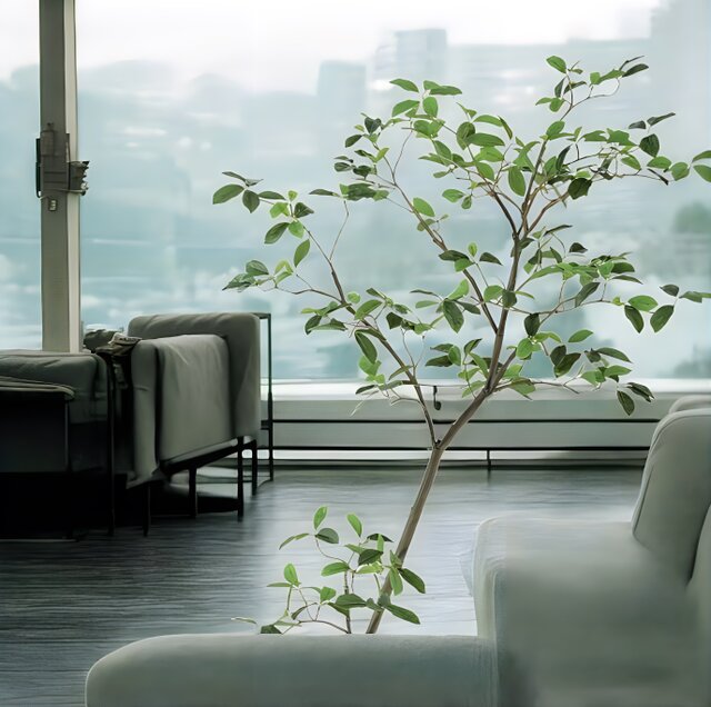 光触媒　人工観葉植物　ウォールグリーン　フェイクグリーン　ガジュマル180FST 光触媒 人工観葉植物 ウォールグリーン フェイクグリーン